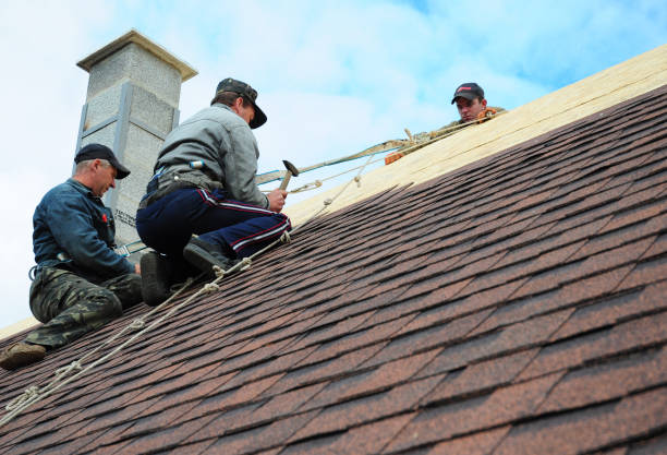 Best Shingle Roofing Installation  in Lower Grand Lagoon, FL